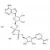 beta-煙酰胺腺嘌呤二核苷二鈉